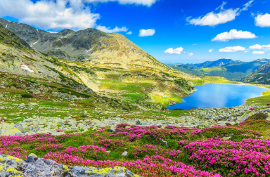 Bulgaria & Romania Tours
